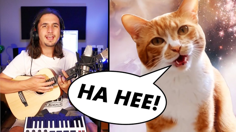 The Kiffness x Chai Kichi Ha Hee ( Singing Cat