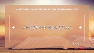 ММШ 2023. Анатомия и массаж. Урок 4