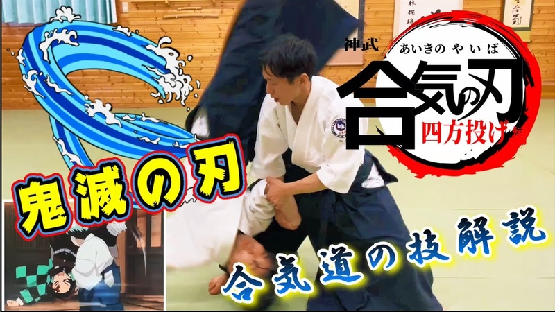 Completely reproduce the Aikido technique used in the popular Japanese anime Demon