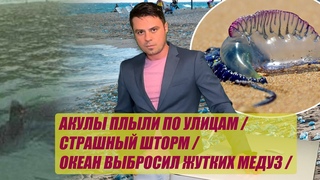 Акулы плыли по улицам | Страшный шторм | Океан выбросил жутких медуз | Терминатор против стариков |