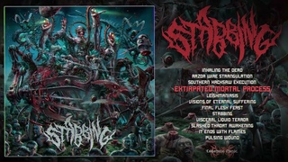 Brutal Death Metal 2022 Full Album &quotSTABBING" - Extirpated Mortal Process