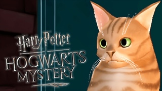 Генри Ривера и поступление в хогвартс / Hogwarts Mystery