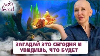 Загадай Это Сегодня и Увидишь, Что Будет / Реалити-шоу ВМЕСТЕ День 6