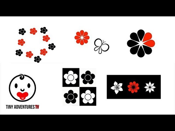 Baby Sensory Black, White Red Flower