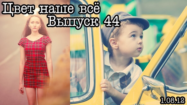 Цвет наше Выпуск Jolly+