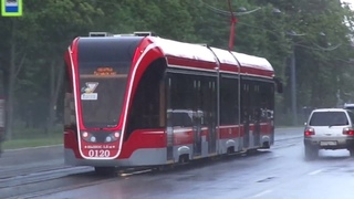 Витязь-М промчался по 2-Муринскому в Петербурге 10-: 71-931М Витязь-М б.0120 по №- ()