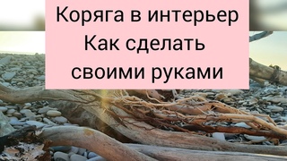 Коряга в интерьер. Как своими руками создать декор для аквариума, террариума, флорариума. Дрифтвуд