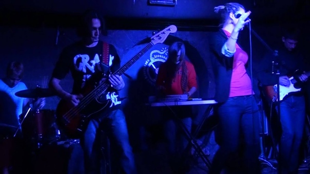 The FREEBIES Disco Cat live