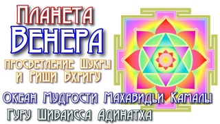 Планета Венера - просветление Шукры и риши Бхригу , океан мудрости Махавидьи Камалы. Гуру Шиваисса