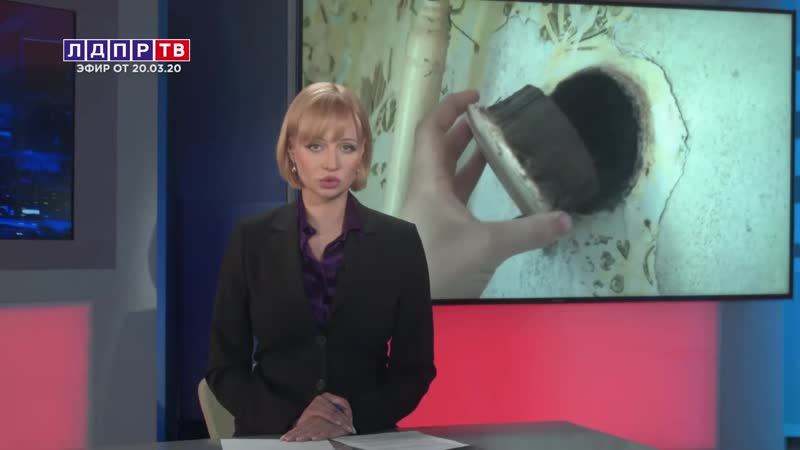 ЛДПРТВ, ПАШИН В. Л КВАРТИРА СИРОТЕ,