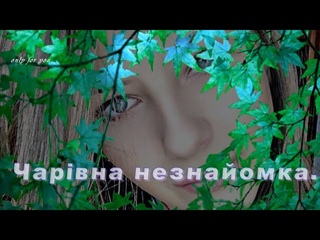 Чарівна незнайомка. Збірник.