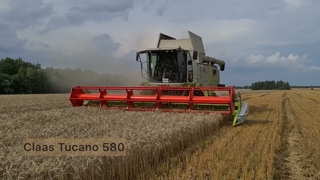 DokaGene -уборка зерновых культур с Claas Tucano 580