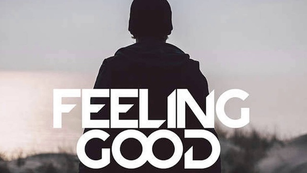Avicii Feeling