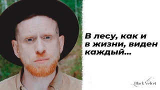В лесу, как и в жизни... | Автор стихотворения: Светлана Фалёва | Читает: Господин Литвинович