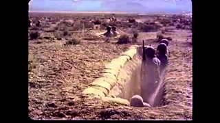 Sound Defects - WAR