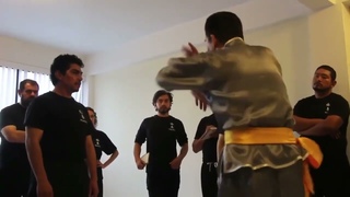 Aprende Wing Chun en espaol