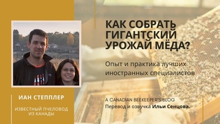 Как собрать гигантский урожай мёда (Иан Степплер, Канада)