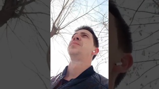 Виновные в ДТП приезжие стали угрожать русскому водителю, но за него вступилась Русская Община