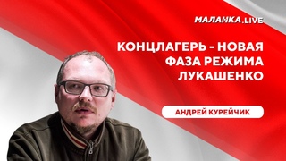 ПВТ в концлагере / Трусость бизнес-сообщества / Безнаказанность режима