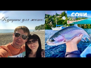 Форелевая лихорадка в Сочи! Откуда ноги растут?