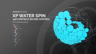 INSYDIUM Training - xpFlowField Spline Control