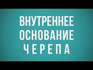 Внутреннее основание черепа