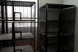 Barsat Ki Barish Aur Mere Birds Kay Breeding Room Ka Overview