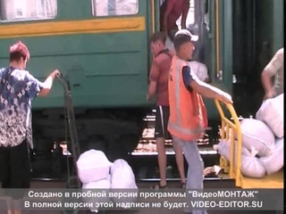 Акценти. На вінницькому вокзалі вантажать у поїзд контрабандне м'ясо. Оперативне відео