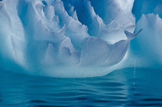 Tropical Bleyage - Antarctica [Visualization]