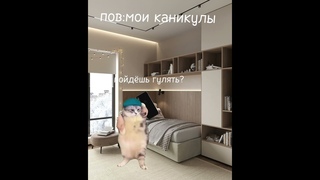Пов:мои каникулы #смешно #мем #смешно #муравей #мем #котики