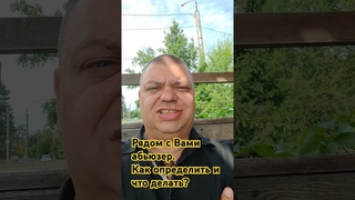 15 октября. Наблюдения психолога. Рядом с Вами абьюзер. Как определить и что делать