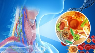 Renewing Each Of Your Cells | Alpha Waves Heal Damage Throat And Goiter Quickly | Melatonin Release