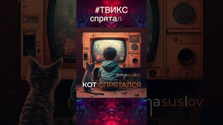 Кот ТВИКС #shot #кот #твикс #коттвикс #проводница #поезд