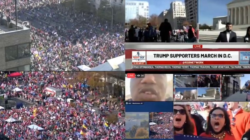Million Maga March Novemder 14,