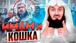 Имам и Кошка 😺 - Реакция Муфтия Менка