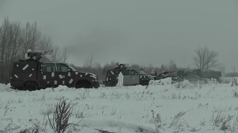 Боевые