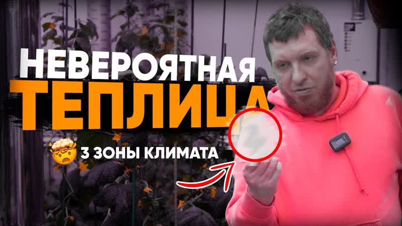 ТЕПЛИЦА МЕЧТЫ 3 Зоны климата и вход в бахилах Что