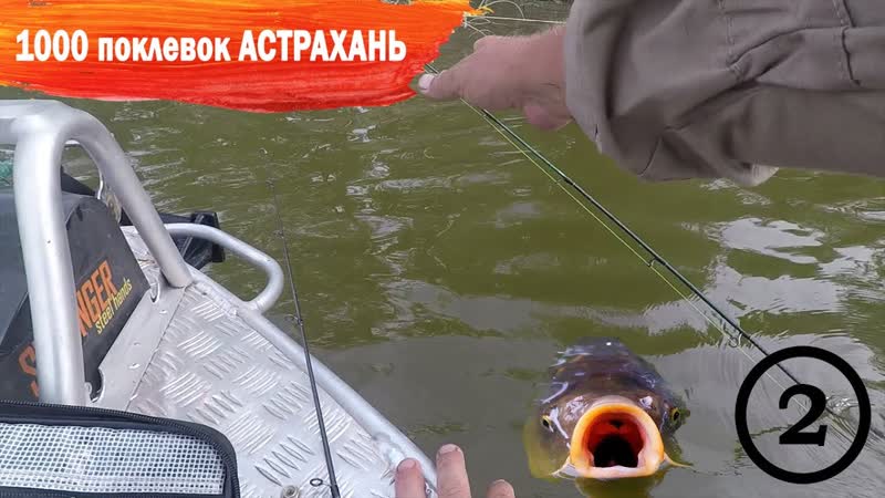 Сазан выдернул донку из лодки что было дальше 1000 поклевок