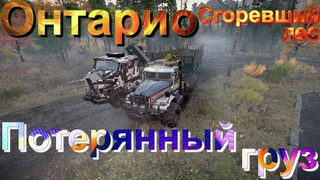 🔥👨‍🚒🧯🌳ОНТАРИО🌲🧯👨‍🚒🔥 СГОРЕВШИЙ🔥🌲ЛЕС🌳ПОТЕРЯННЫЙ❓ГРУЗ🟦 ЭТО НУЖНО ЗНАТЬ🚦ПОДПИШИТЕСЬ ❗ПОСТАВЬТЕ 👍НАЖМИТЕ