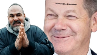 💥ACHTUNG ZUGRIFF💥 CARSTEN STAHL ZERLEGT AMPEL UND ALTPARTEIEN