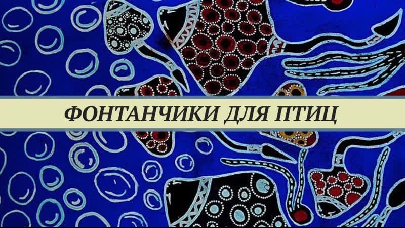 Фонтанчики для птиц и другие опасные и вредные игрушки и