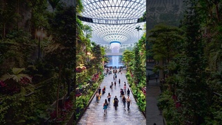 Необыкновенная красота самого красивого аэропорта singapore
