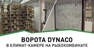 Ворота DYNACO на рыбоперерабатывающеи фабрике в Мурманске | Уникальная климат-камера
