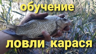 Ловля карася летом в камыше.Обучение ловли карася.Хитрый монтаж на карася.Ловля карася на удочку.