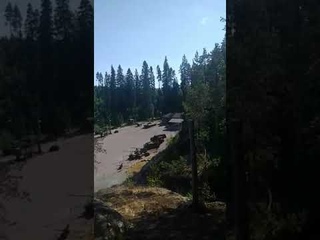 Детские покатушки на троллее (zip line)