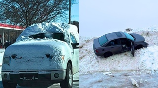 Idiots In Cars 194
