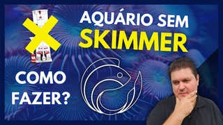 AQURIO SEM SKIMMER... COMO FAZER
