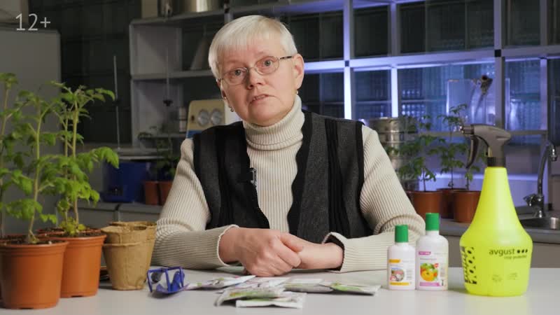 Помощники для идеальной