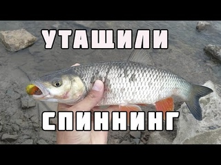 Кренк, колебалка, вертушка, что ест голавль Река Сал.