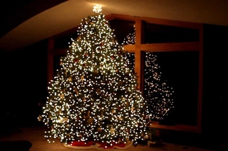 Wizards in Winter Christmas Tree Light Show - TSO - Wawra  2012 HD